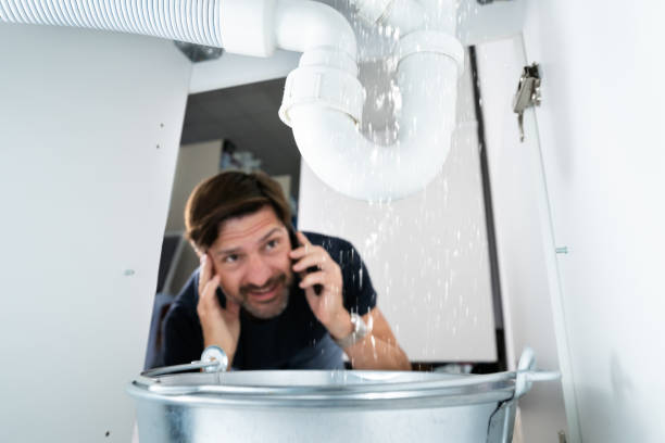 Best Faucet Repair  in Lake Shore, MN