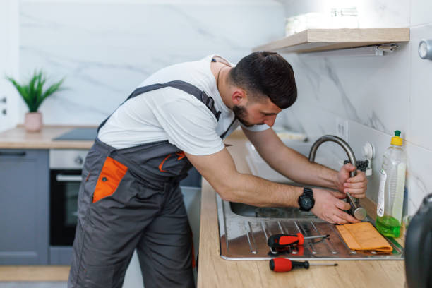 Best Toilet Repair Services  in Lake Shore, MN