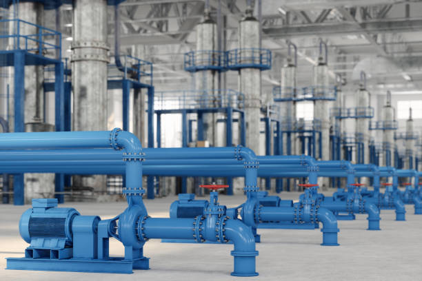 Best Plumbing Inspection Services  in Lake Shore, MN